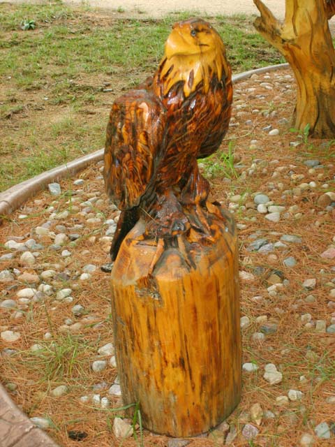 Eagle Perched